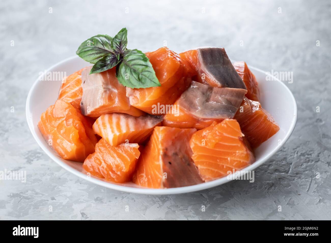 Pieces of salmon trout fillet fish in white plate closeup. Food photography Stock Photo