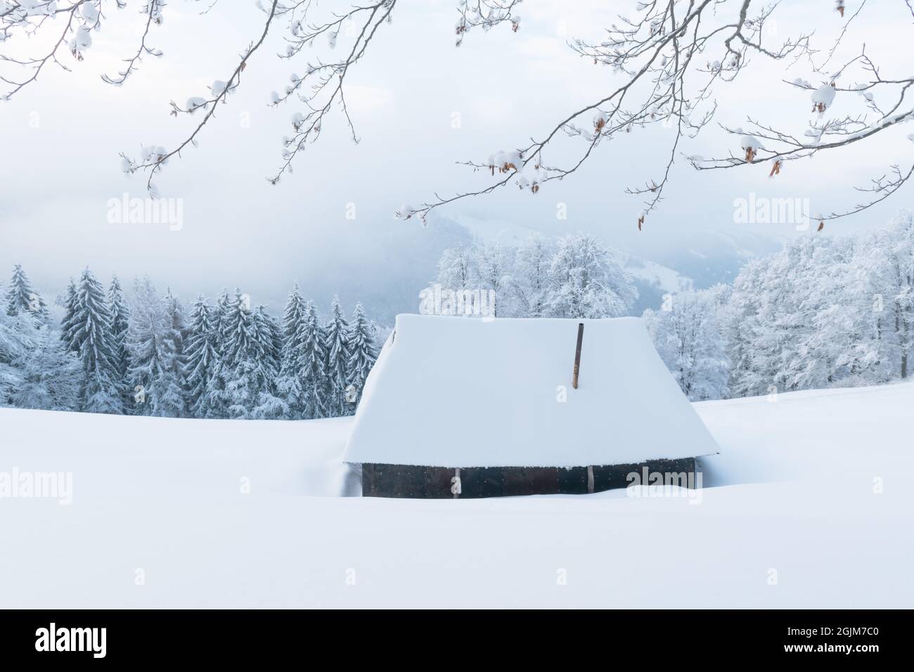 Fantastic winter landscape with wooden cabin in snowy forest. Cozy ...