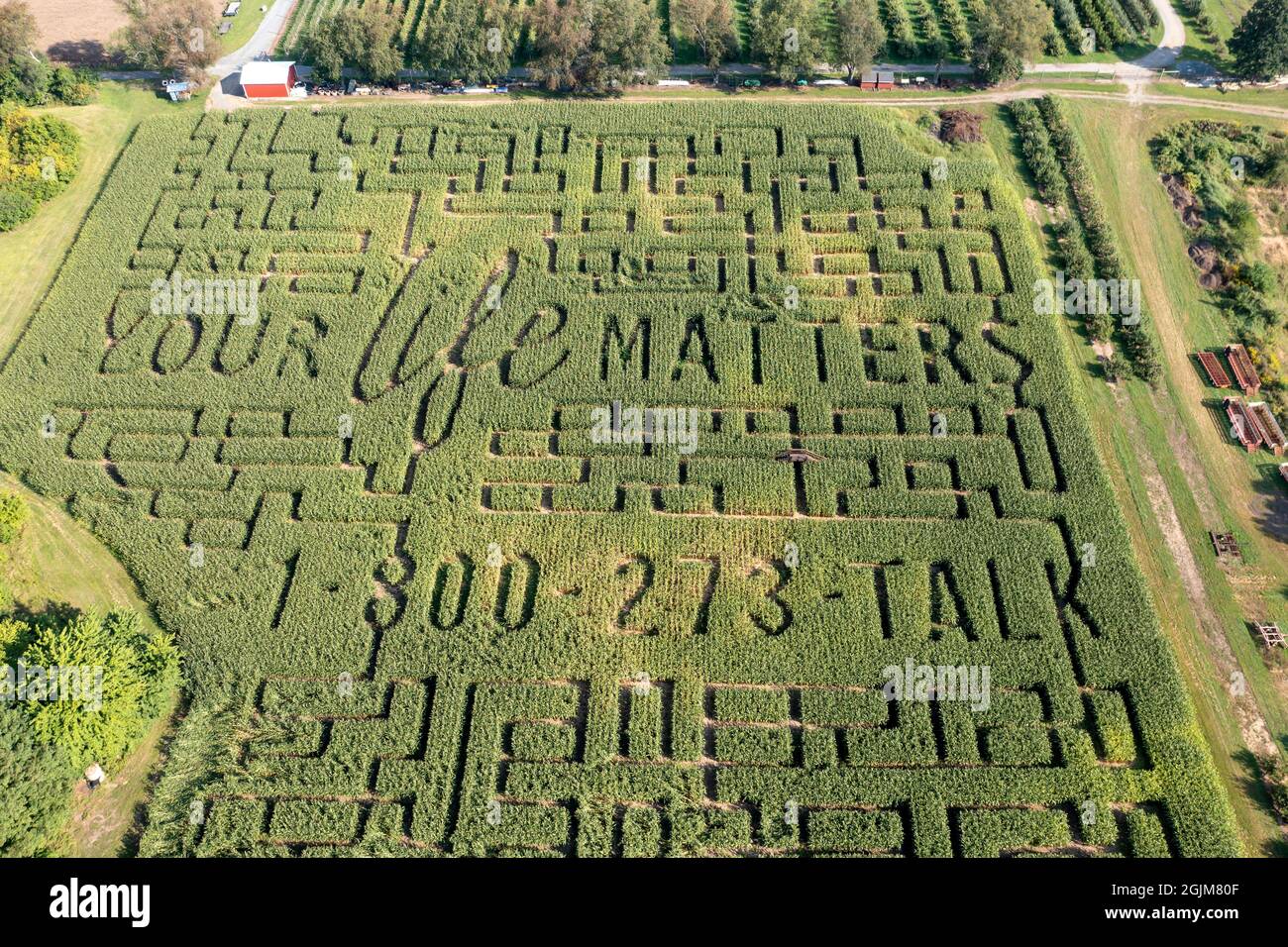 Richland, Michigan - A corn maze with a suicide prevention theme at Gull Meadow Farms. Stock Photo
