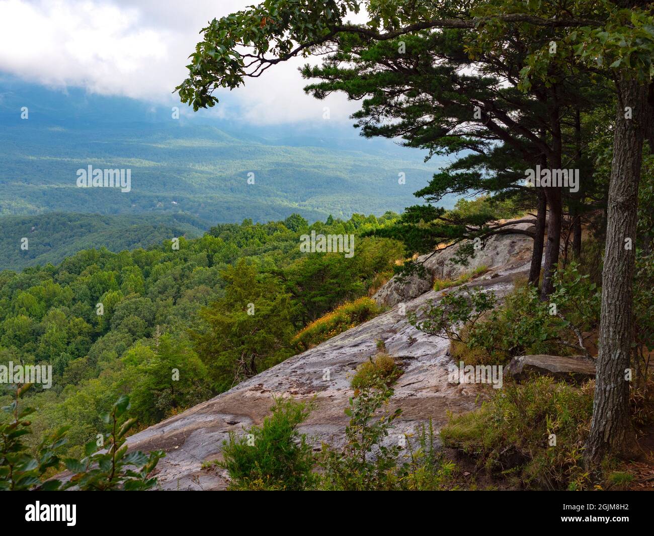 Scenic View from Mount Yonah Summit Stock Photo