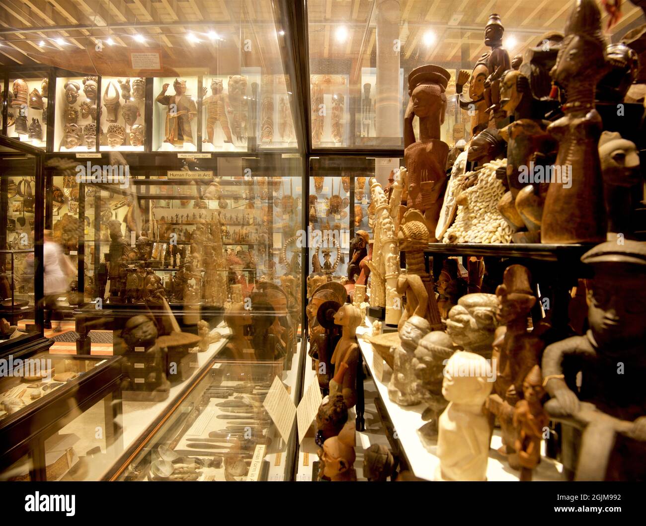 Exhibits inside a displaycase at the Pitt Rivers Museum, University of ...