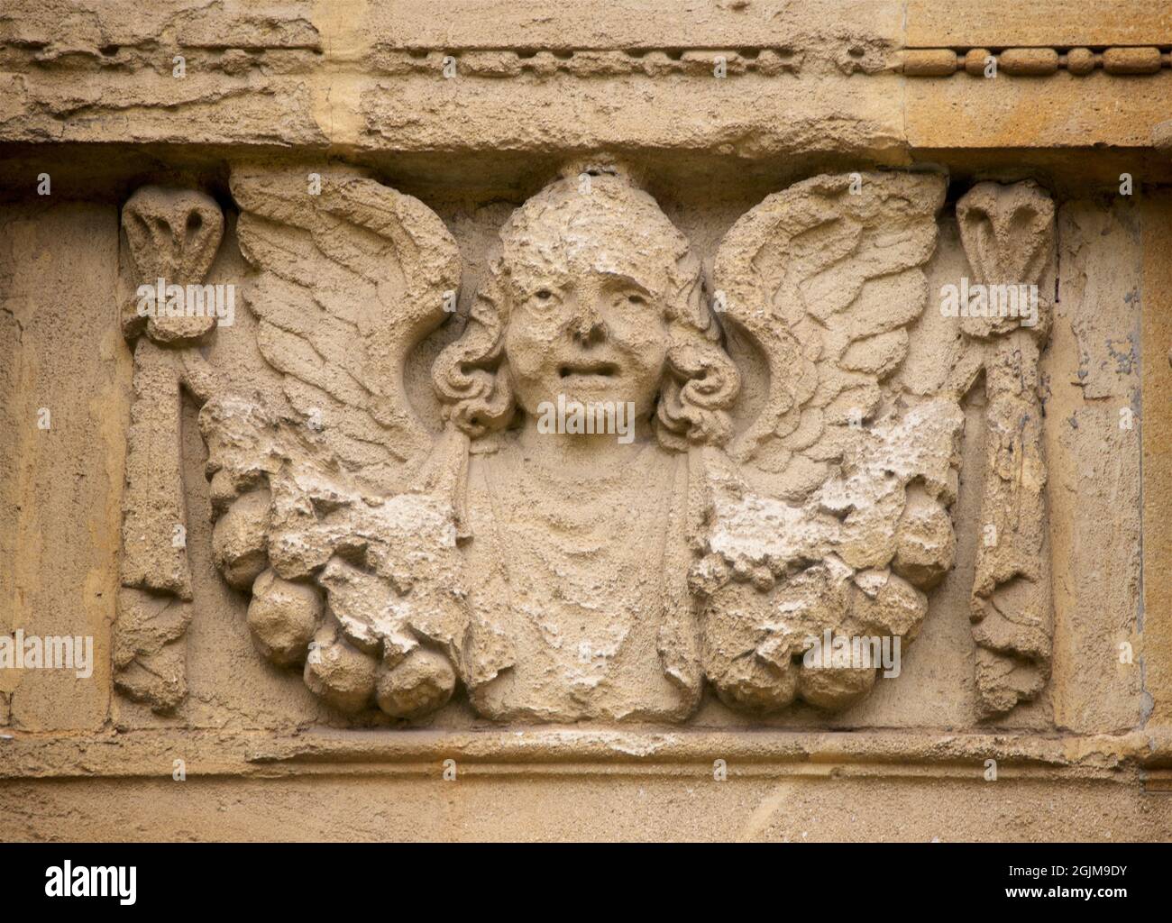 Detail of stone carving on the exterior of Brasenose College Chapel, University of Oxford, Oxford, England, UK. Angel wings Stock Photo