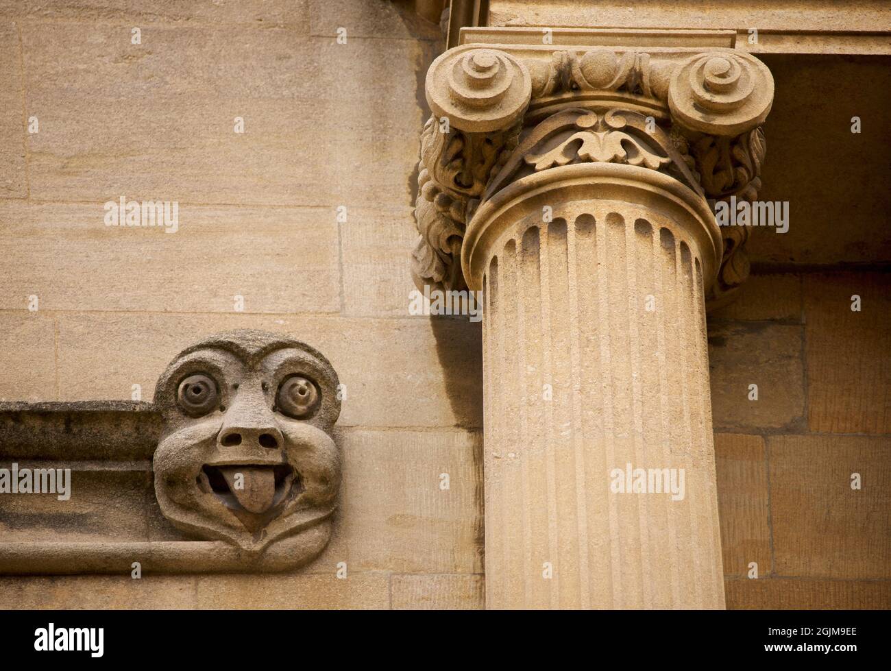 Stone carved gargoyle of beadey-eyed face with tobgue sticking out, and neoclassical fluted column on the exterior of the Bodleian Library quad, University of Oxford, Oxford, England, UK Stock Photo