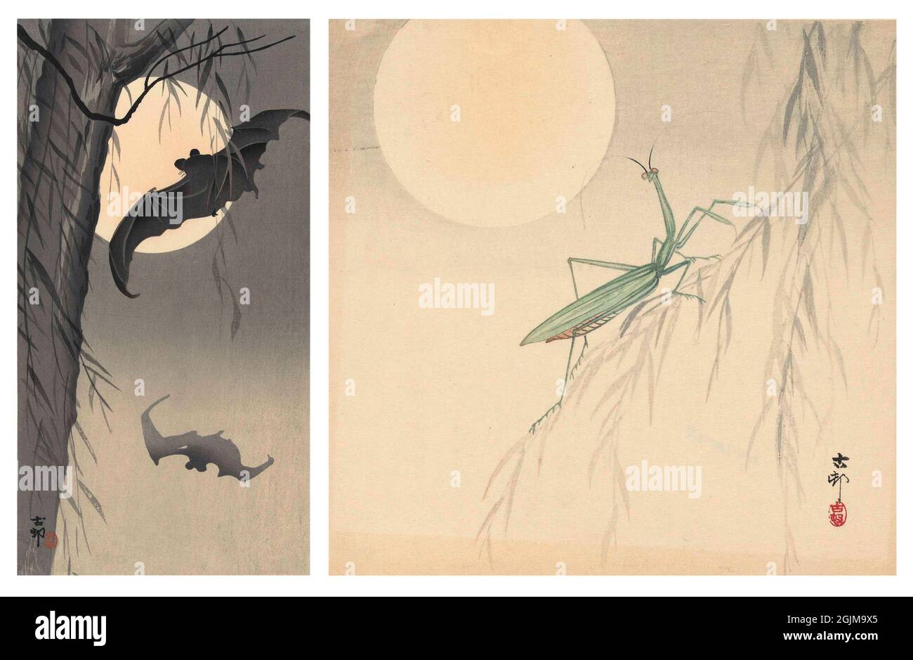 Selection of 2 Japanese painted woodcuts  Left: Two flying bats at full moon; willow tree on the left. Right (1900-1936): Praying mantis on a willow branch at full moon.  Unique optimised and enhanced arrangement of two historical Japanese woodcut illustrations. Stock Photo
