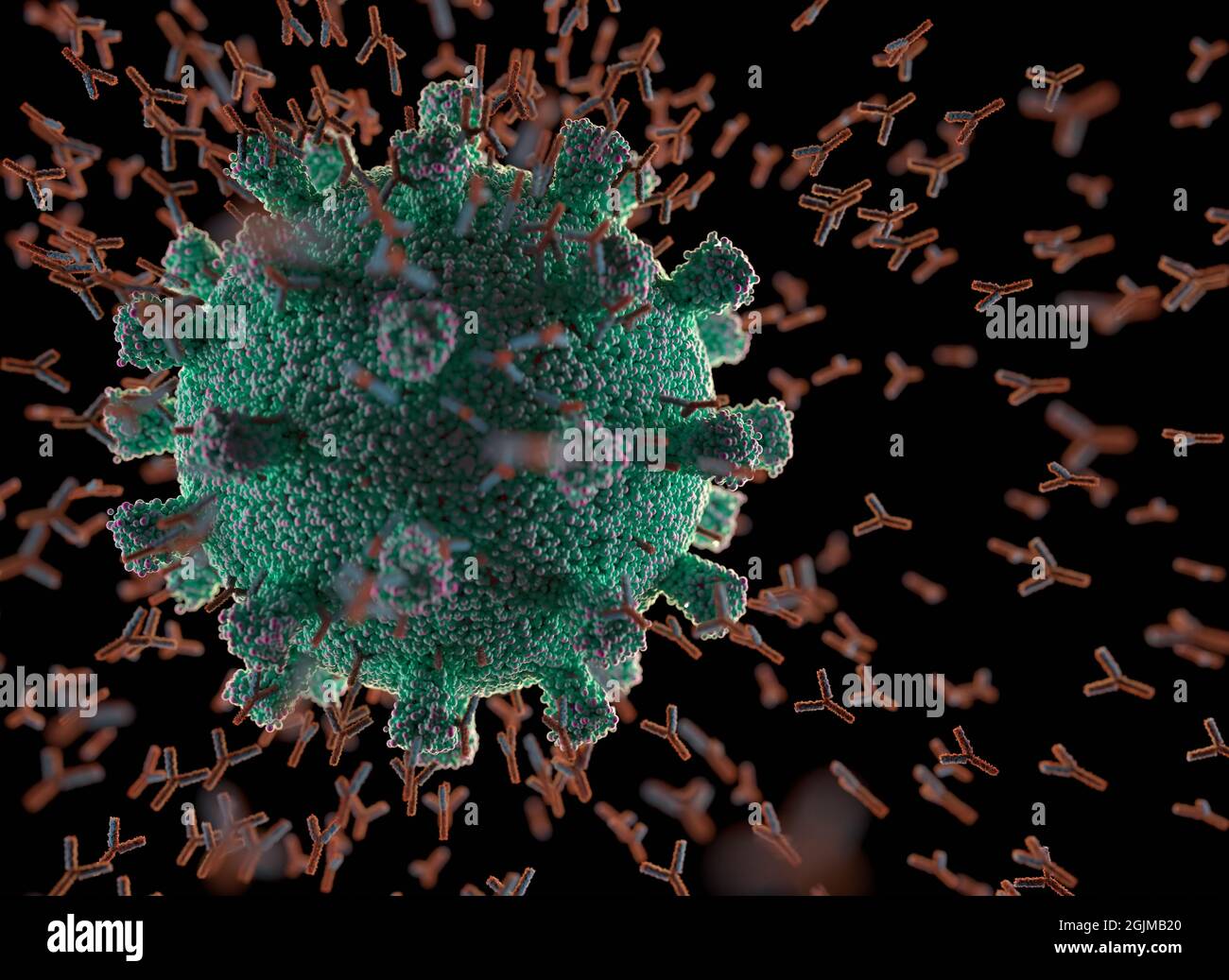 Immunological system, antibodies attacking the virus covid-19. 3D illustration, concept of the body's defense system. Y-shaped antibody attacking the Stock Photo