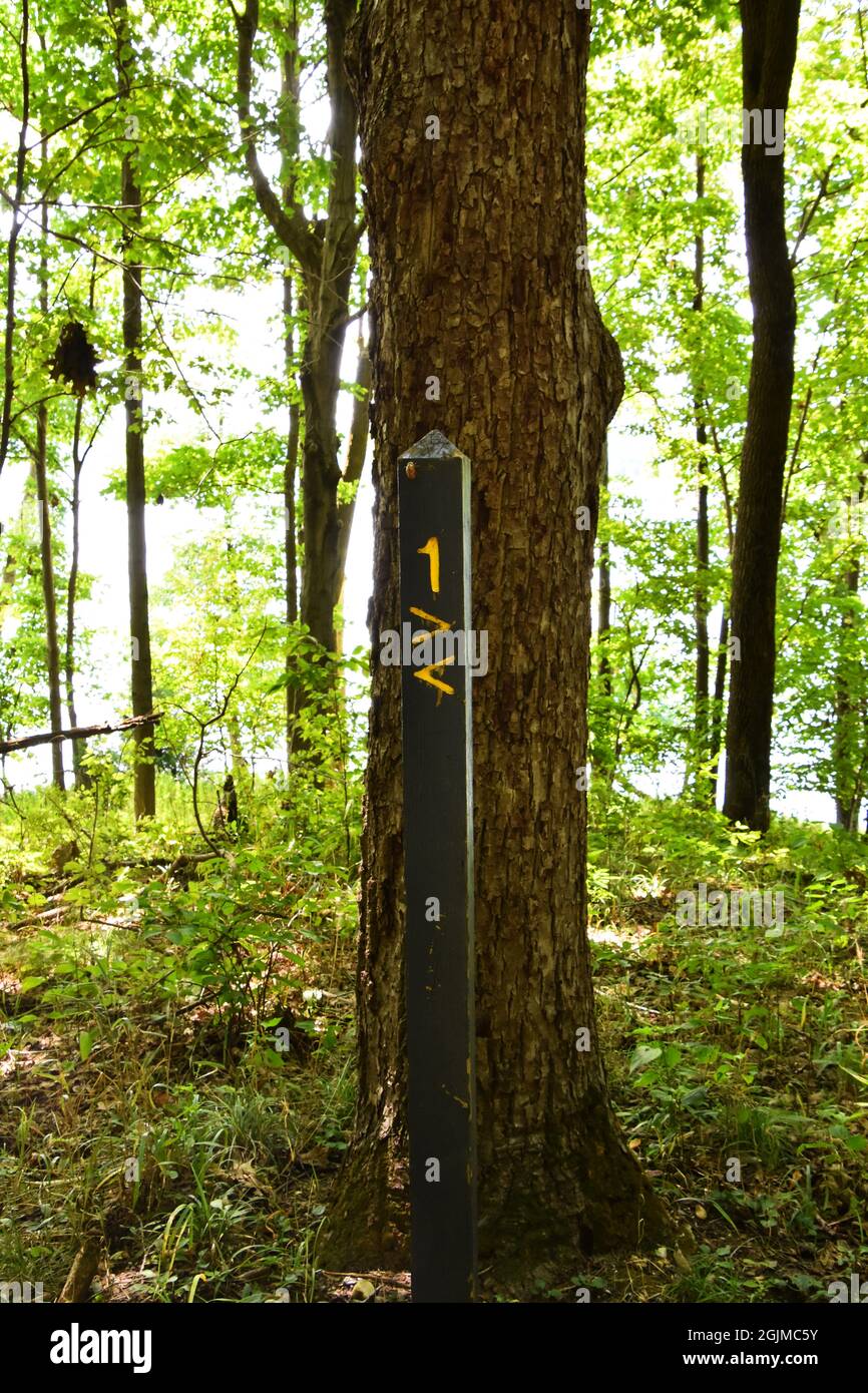 A wooden signpost with arrows and the number 1 indicating a hiking trail in the woods Stock Photo