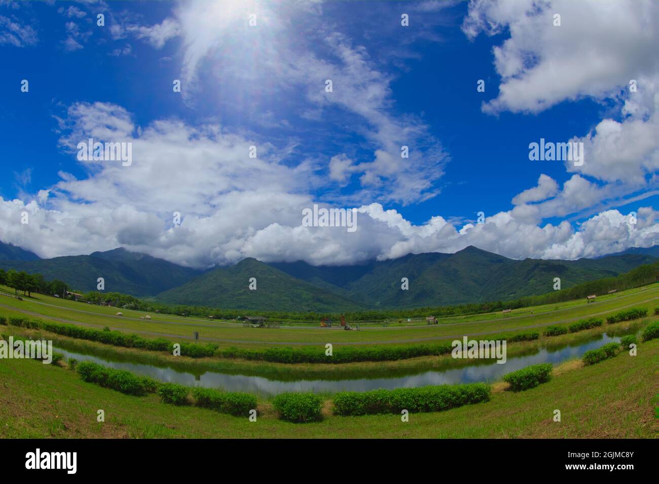 In the distance mountains, blue sky and white clouds rate grass, fresh air. Super carbon-adsorbing oxygen generator. Danongdafu Flatland Forest Park, Stock Photo