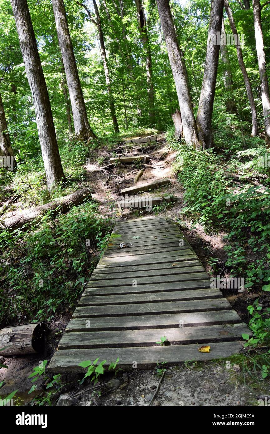 An old wooden bridge along a forested hiking trail Stock Photo