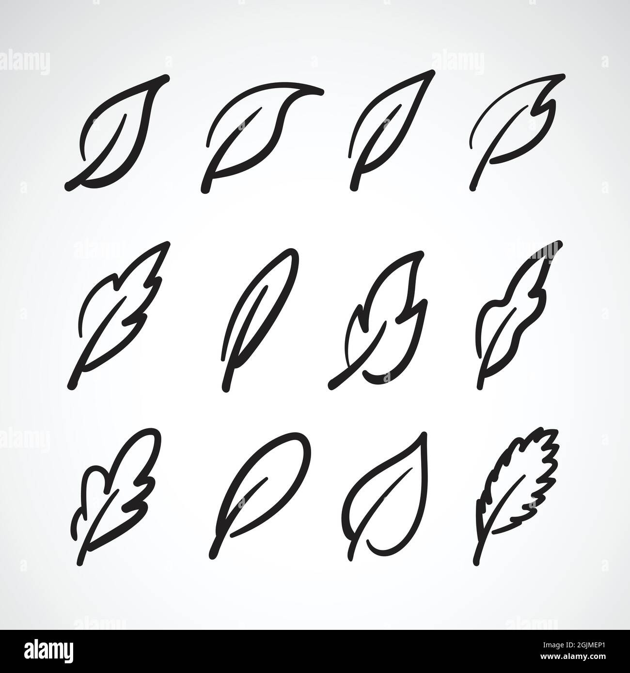 Vector leaves icon set on white background.Collection of leaf logo ...