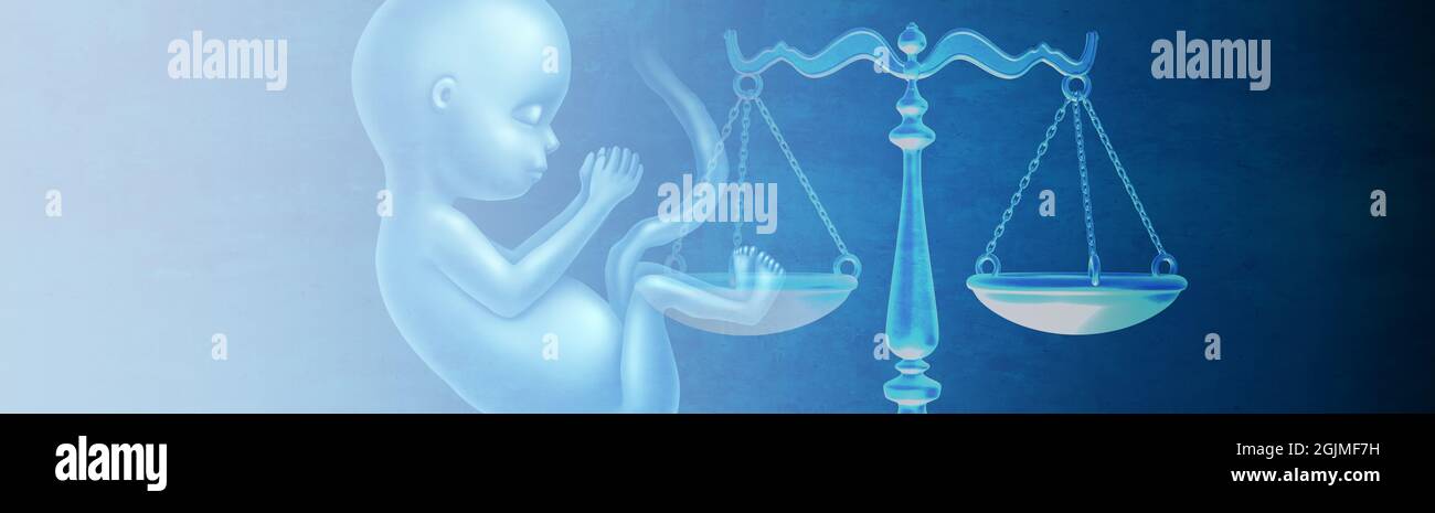 Abortion laws and fetus rights law and reproductive justice as a legal concept for reproduction rights as legislation by government. Stock Photo