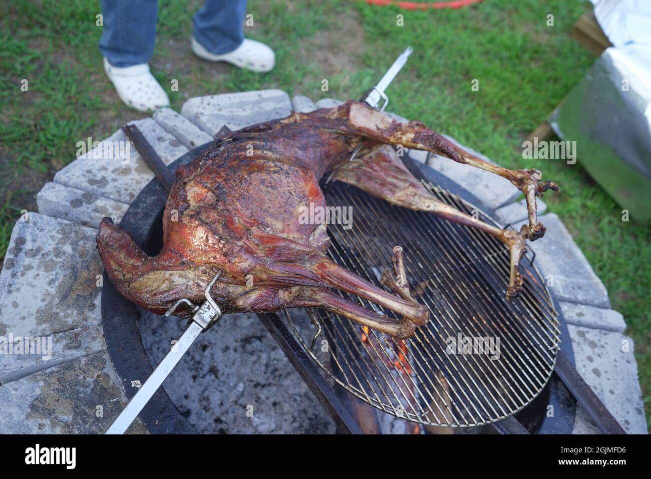 Whole baby goat, lamb being roasted on open fire pit Stock Photo Alamy