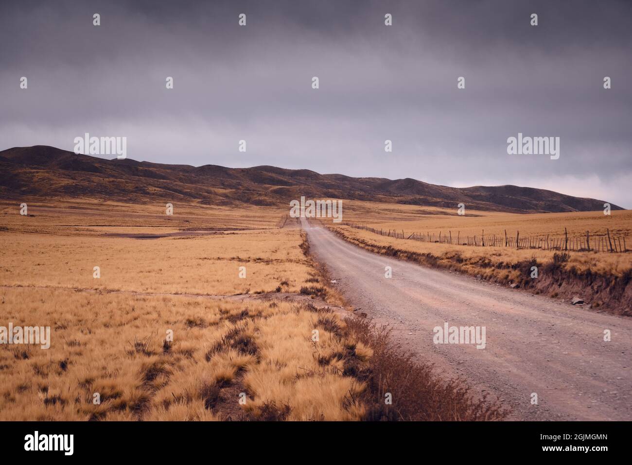 Dirt road across a vast dry grassland in Valle de Uco, Mendoza, Argentina. Stock Photo