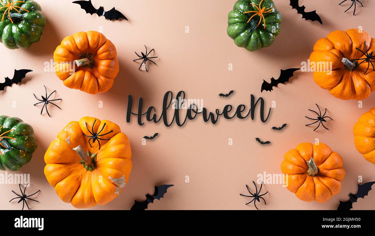 Halloween decorations made from pumpkin and black spider on pastel ...