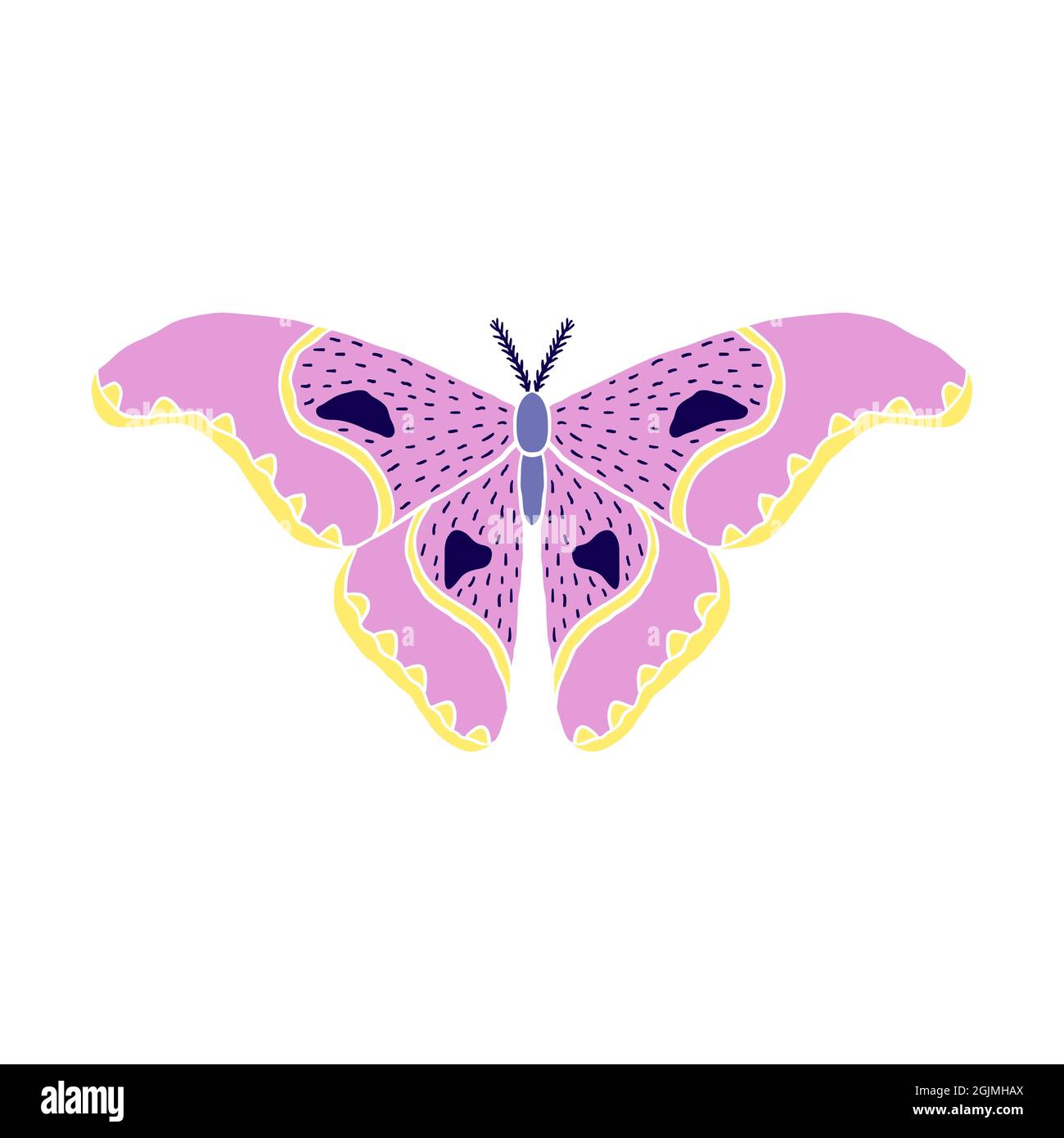 Butterfly in doodle style Stock Vector Image & Art - Alamy
