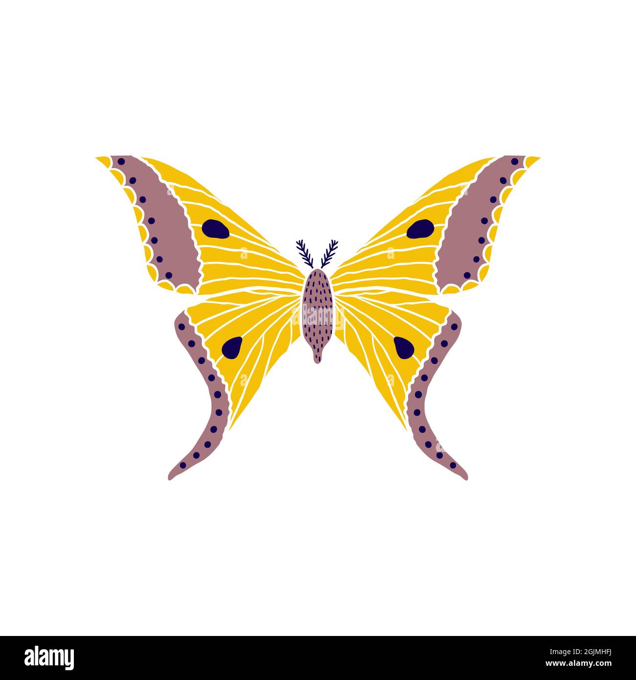 Butterfly in doodle style Stock Vector Image & Art - Alamy