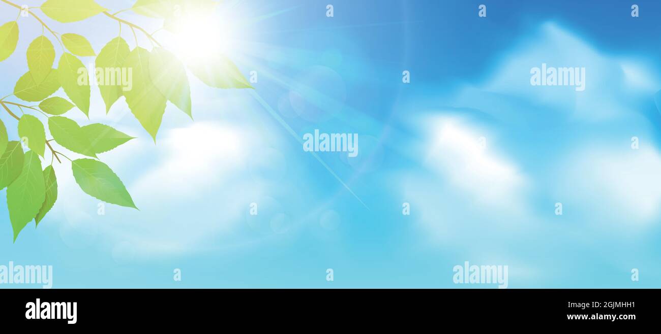 Green leaves on sky background. Vector illustration Stock Vector Image ...