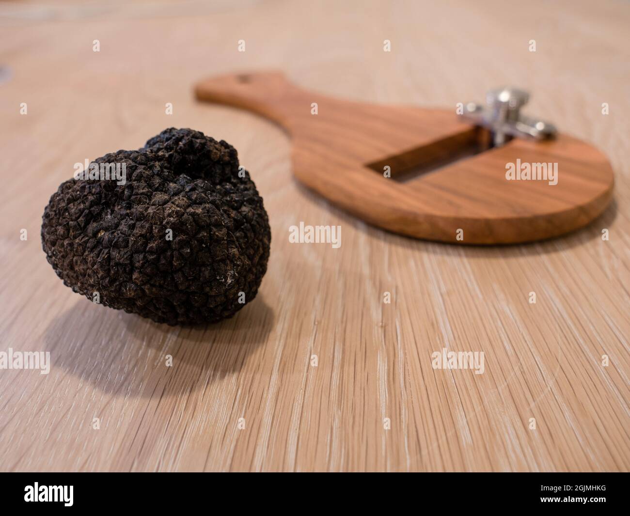 Italian Black Summer Truffle or Tarfufo Nero Estivo with a Slicer Stock Photo