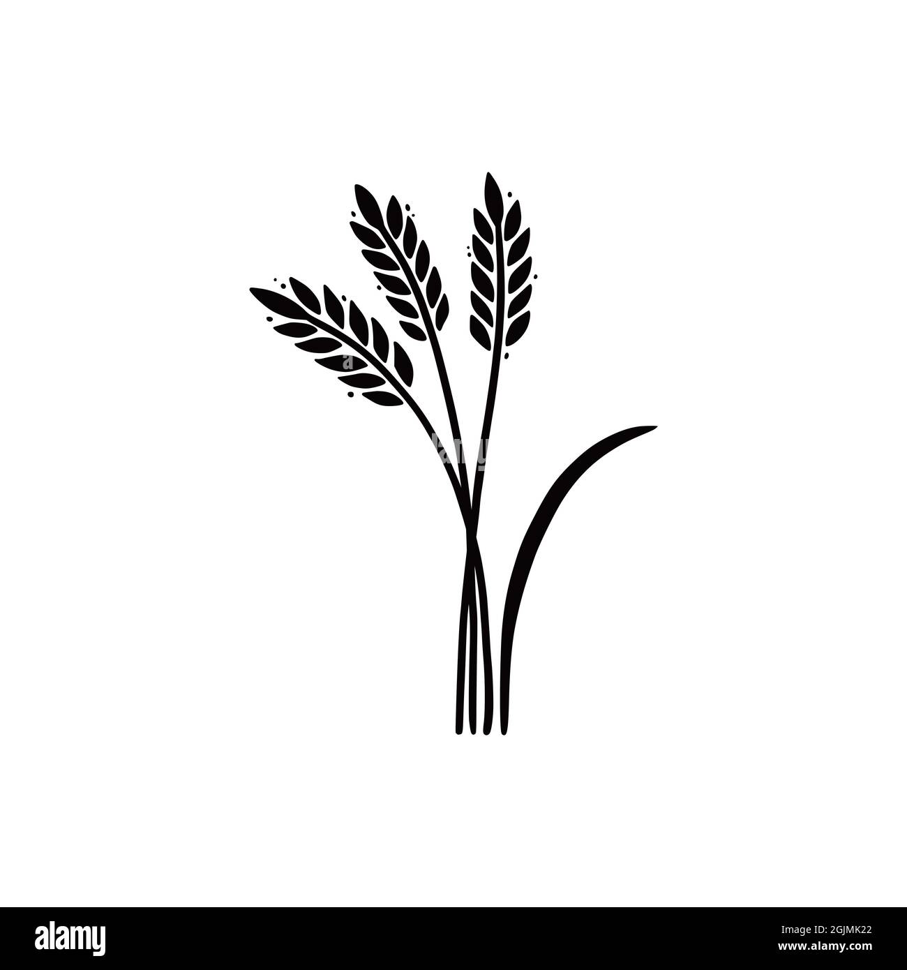 Wheat Grain Sketch Vector & Photo (Free Trial) | Bigstock