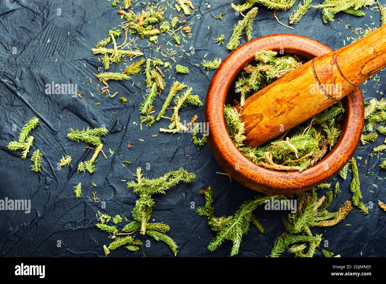 Dried healing plants in a mortar and pestle.Lycopodium in herbal medicine Stock Photo