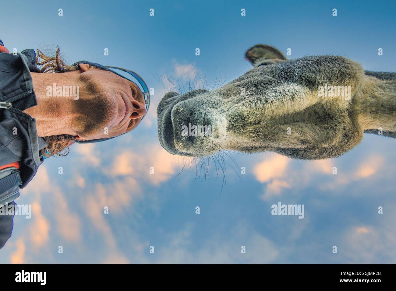 Man meeting animal hi-res stock photography and images - Page 4 - Alamy