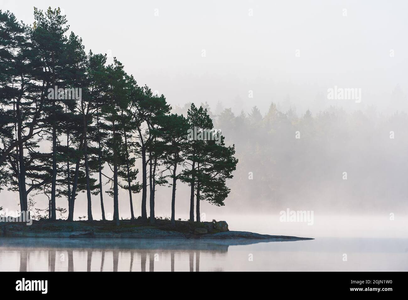Headland with trees besides misty lake Stock Photo