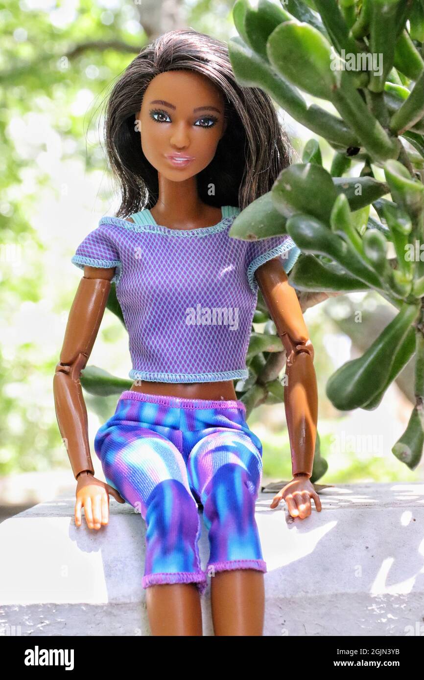 GREENVILLE, UNITED STATES - Aug 16, 2021: A closeup of a brunette  dark-skinned Barbie doll sitting on the wooden fence Stock Photo - Alamy
