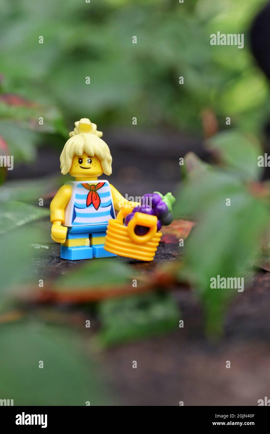GREENVILLE, UNITED STATES - Aug 16, 2021: A closeup of a Lego minifigure of  a woman with a basket with grapes on a rock Stock Photo - Alamy