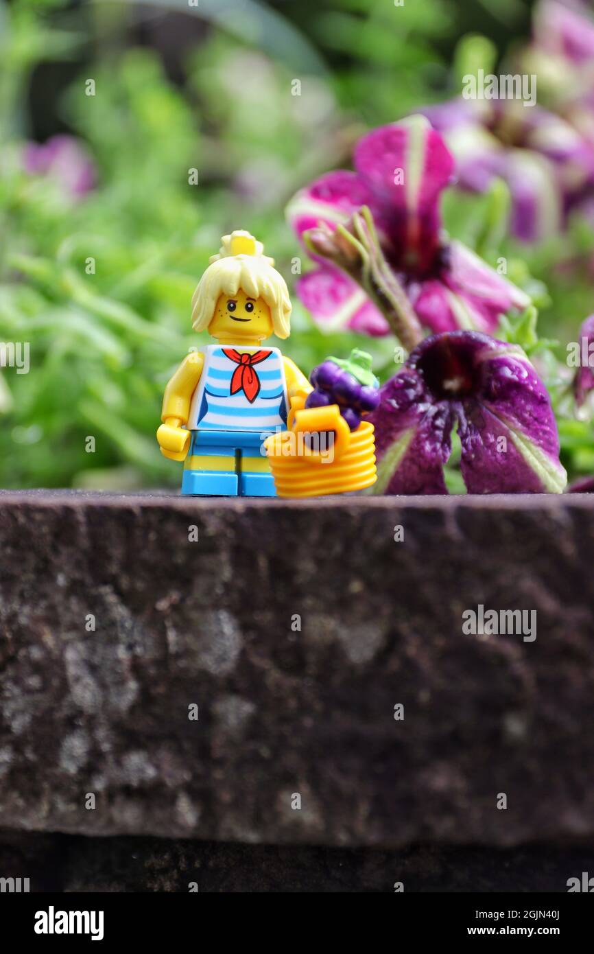 GREENVILLE, UNITED STATES - Aug 16, 2021: A closeup of a Lego minifigure of a woman with a basket with grapes on a rock Stock Photo