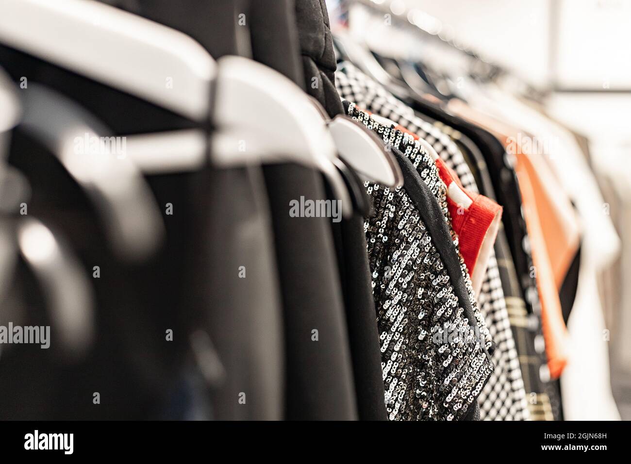 Fashionable stylish women's clothing on a hanger. Close-up of branded  clothing in a show room. Light background. Fashion retail, show room,  shopping or seasonal sale concept. Selective focus - a Royalty Free