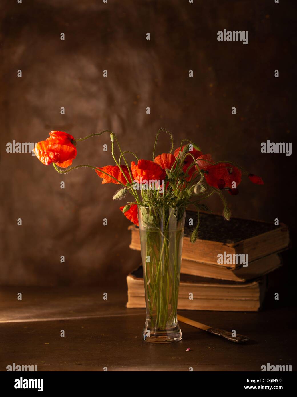 Still life with red poppies and books Stock Photo - Alamy
