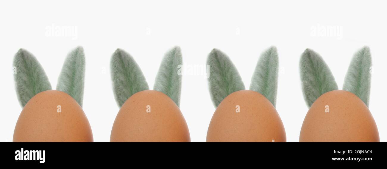 Easter eggs with ears close-up on a white background. Easter concept. Stock Photo