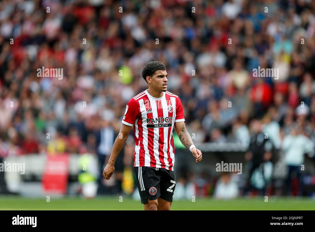 gibbs white (sheffield united) hires stock photography and