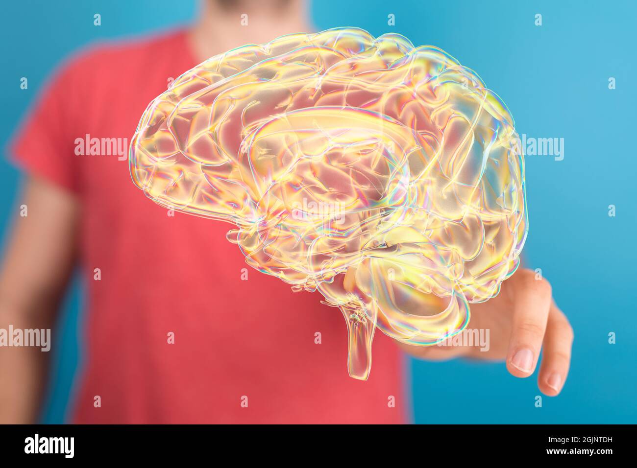 Closeup of a man pointing into 3D rendered human brain anatomical model ...
