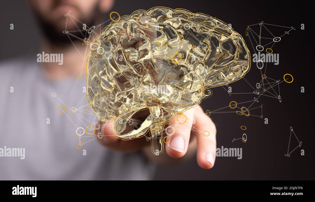 Closeup of a man pointing into 3D rendered human brain anatomical model ...