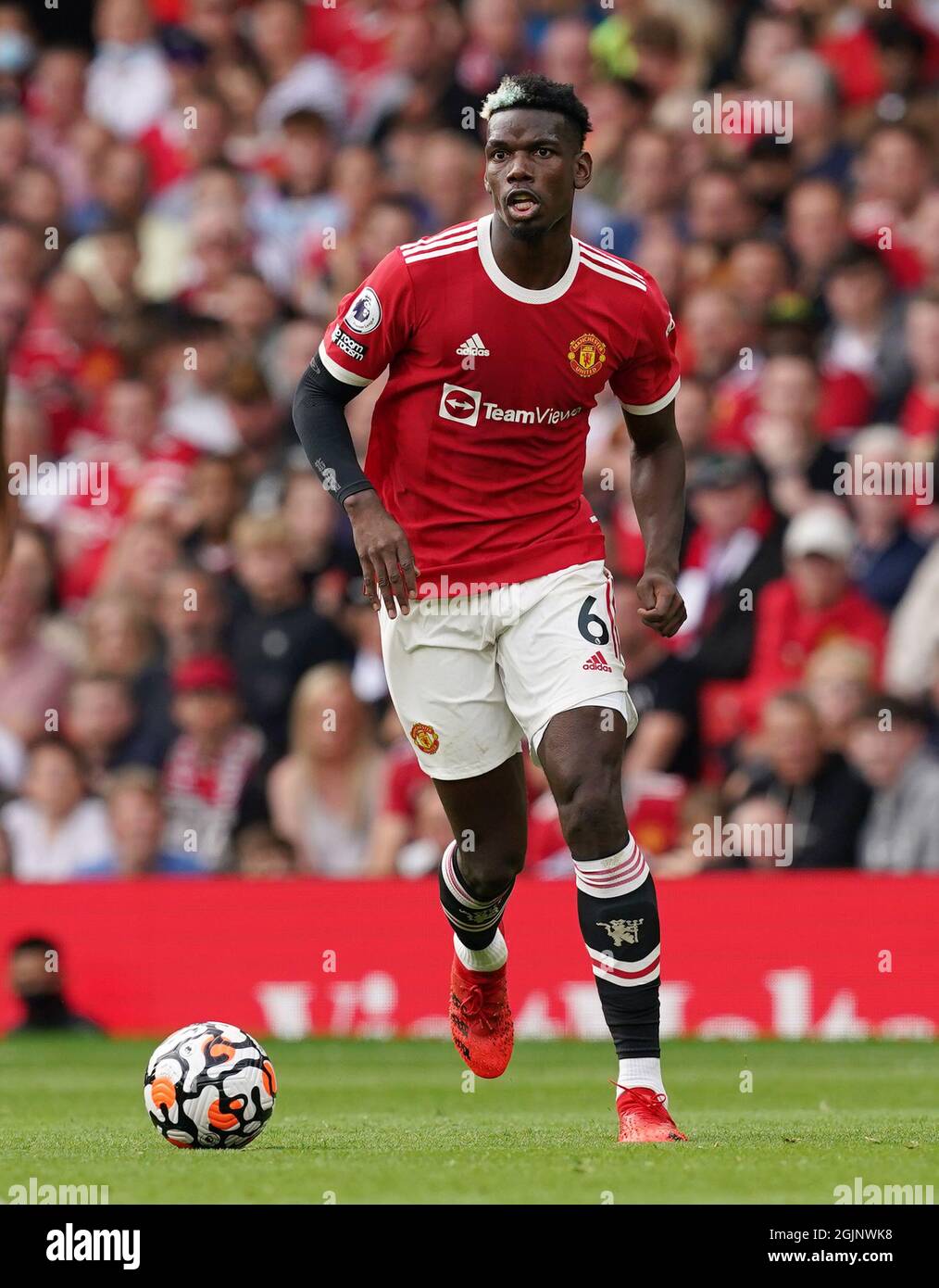 Paul Pogba of Manchester United  Manchester united soccer, Paul pogba  manchester united, Paul pogba