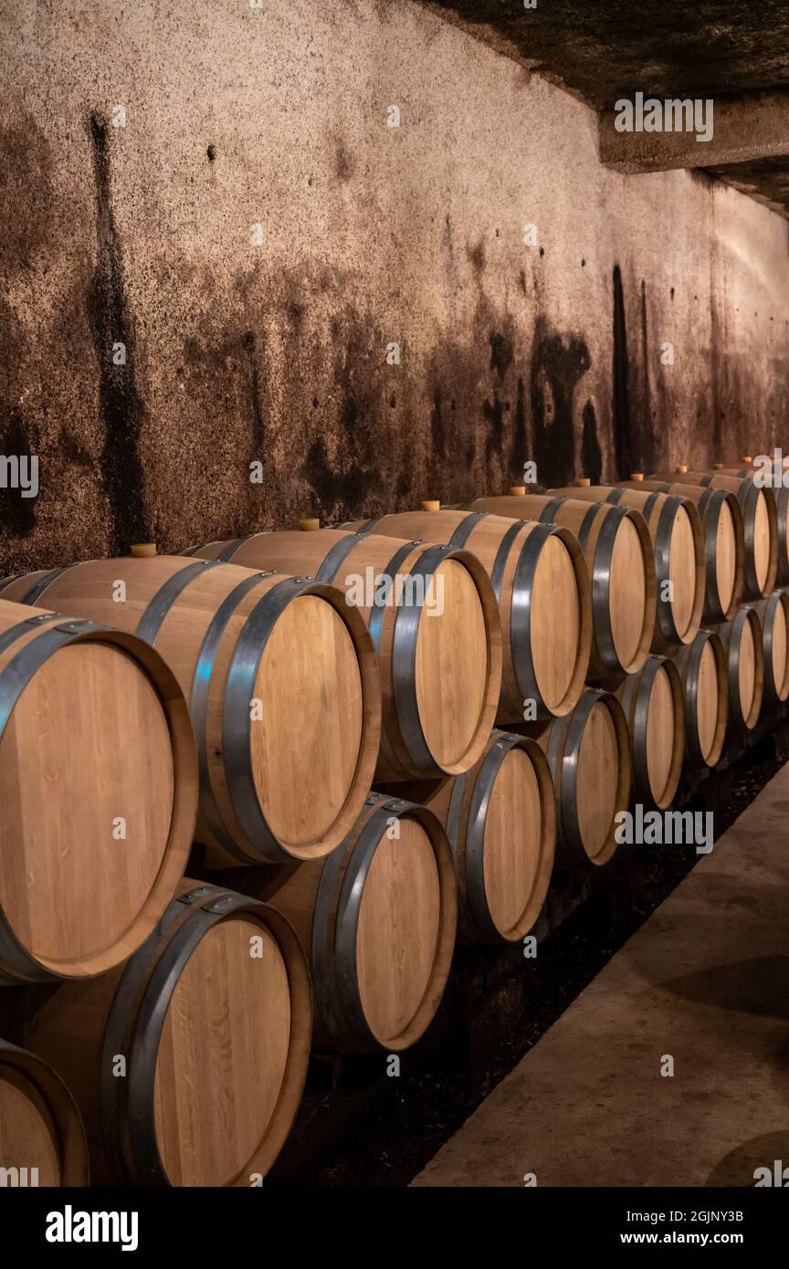 Keeping for years of dry red wine in new oak barrels in caves in