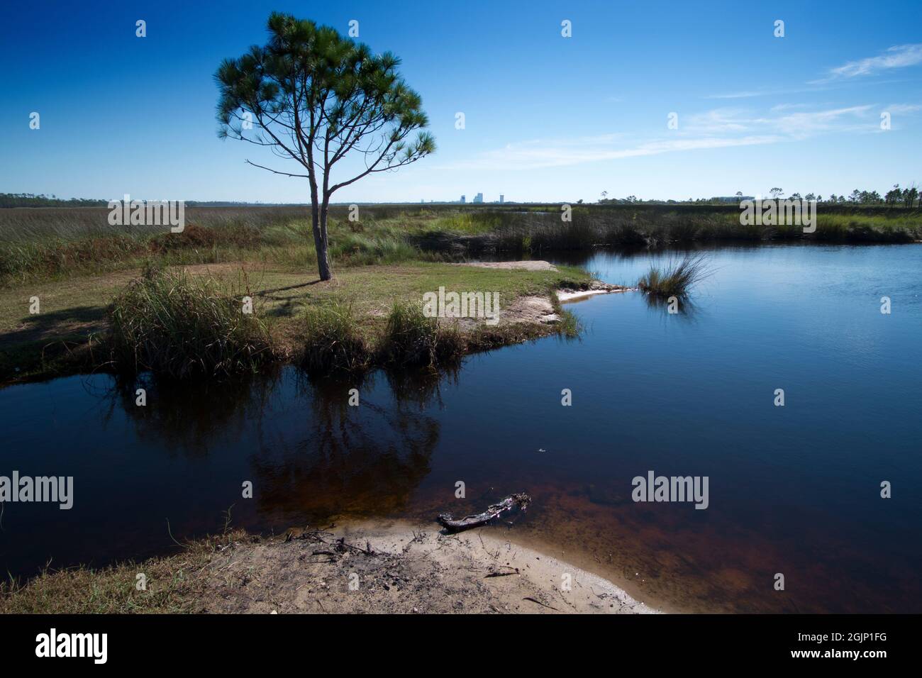 Late morning at the Gulf State Park, Gulf Shores, Alabama Stock Photo