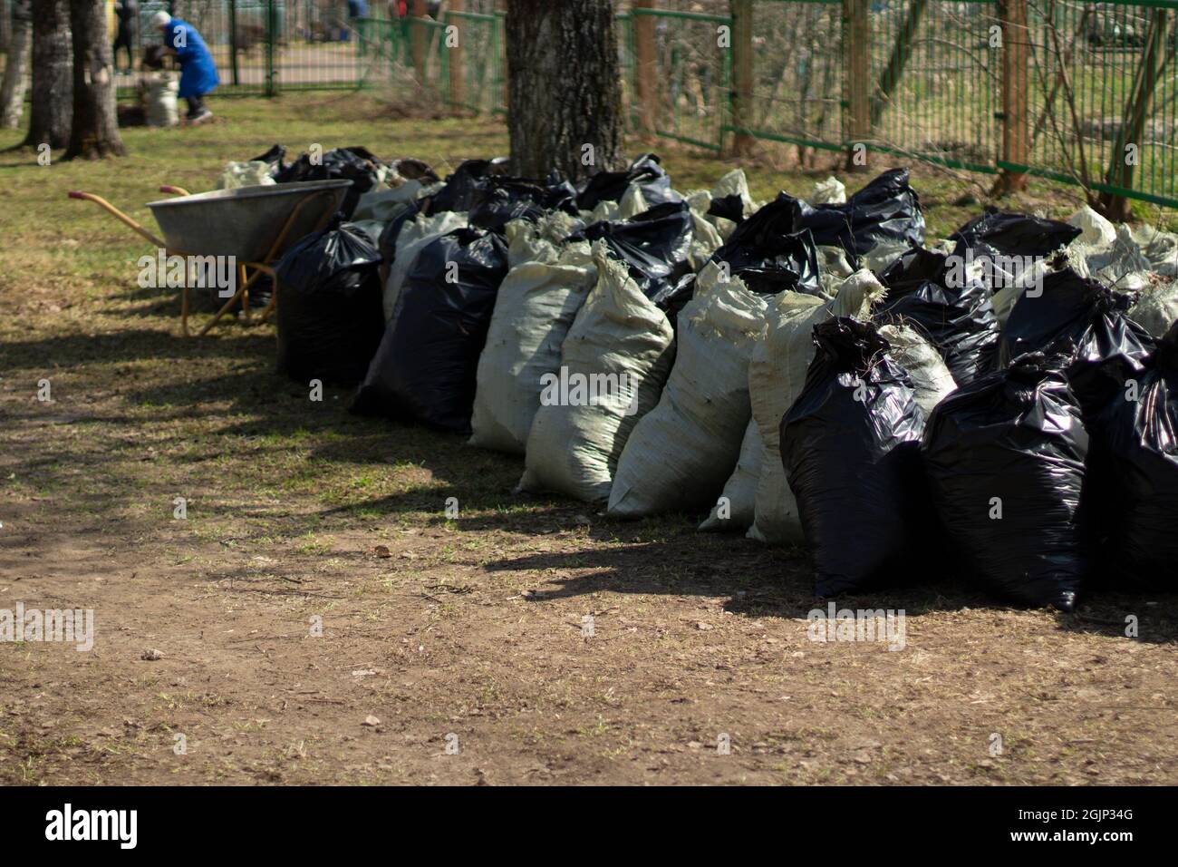 https://c8.alamy.com/comp/2GJP34G/bags-of-leaves-waste-bags-the-result-of-cleaning-the-yard-lots-of-waste-bags-inside-2GJP34G.jpg