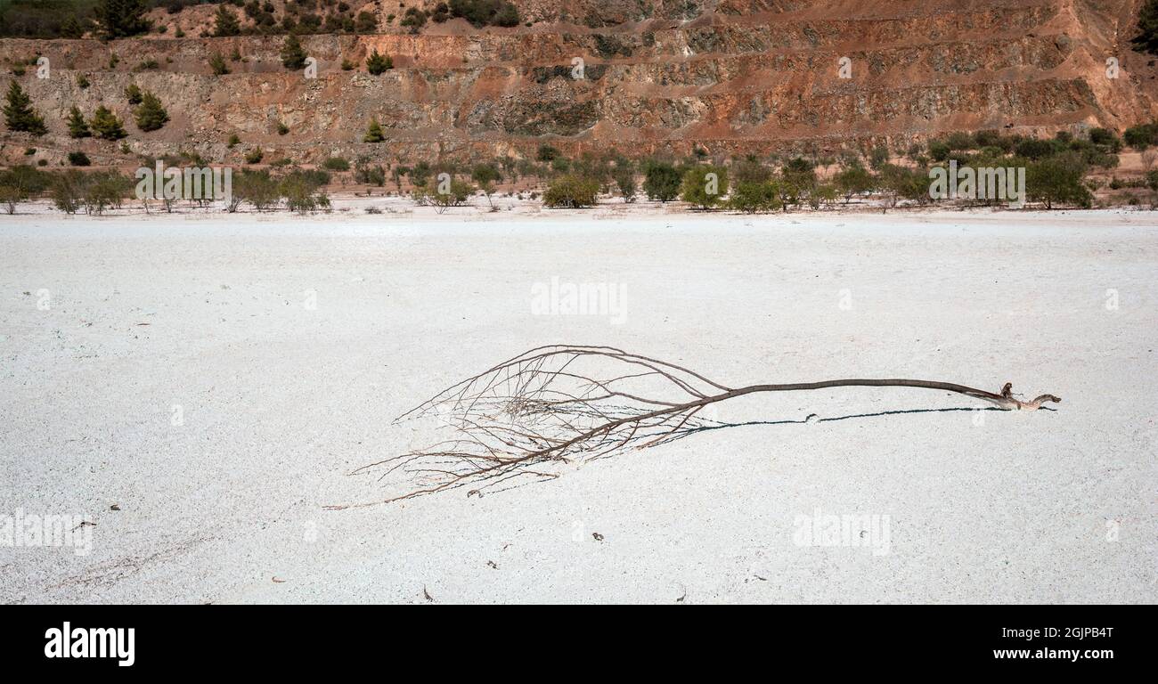 Dead tree lying on barren contaminated grounds of abandoned open pit mine Stock Photo