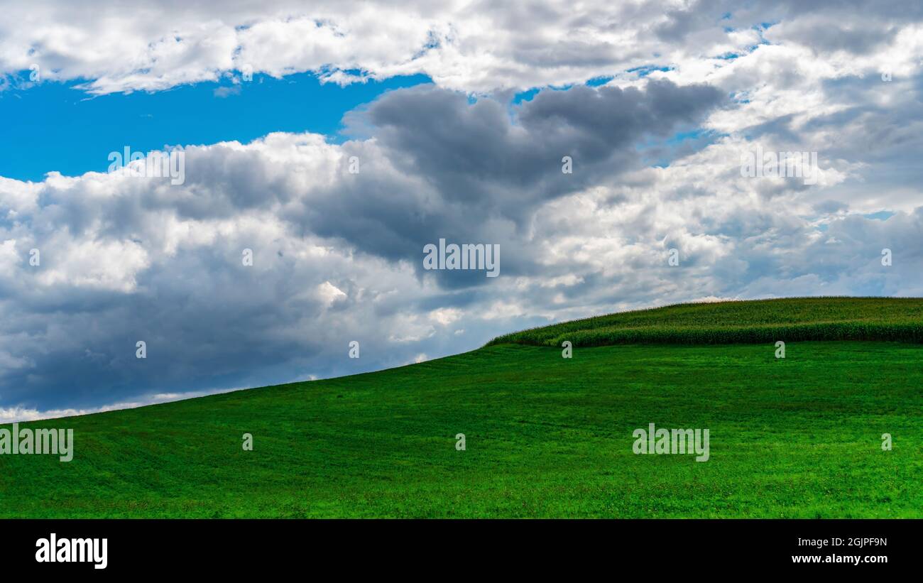 Picturesque cloudscape. Blue sky with clouds over a green field with grass. Windows desktop wallpaper example. Cloudy weather with clearings forecast. Stock Photo