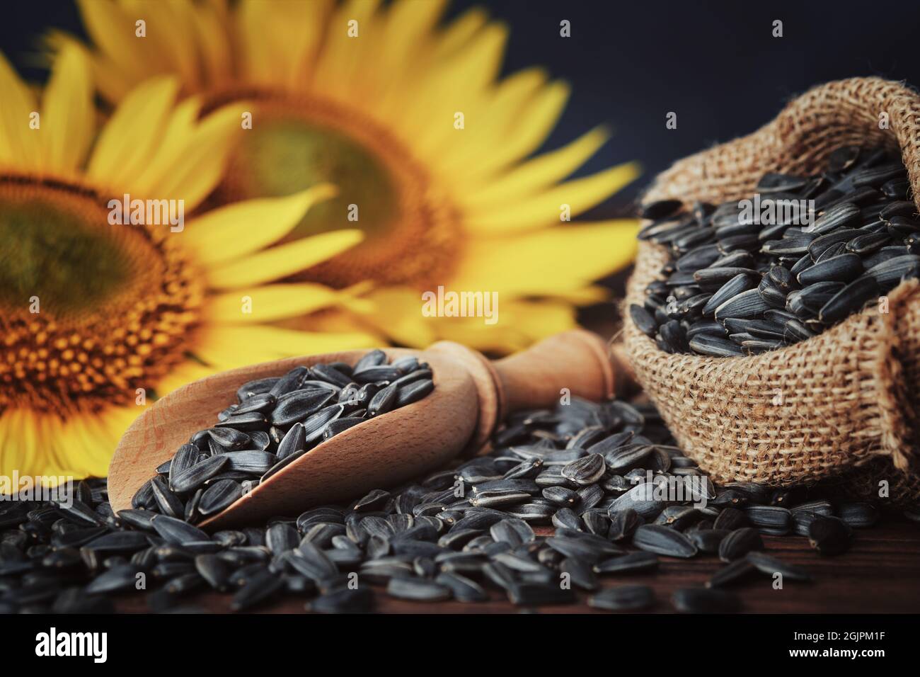Wooden scoop of sunflower seeds, canvas bag filled with black sunflower