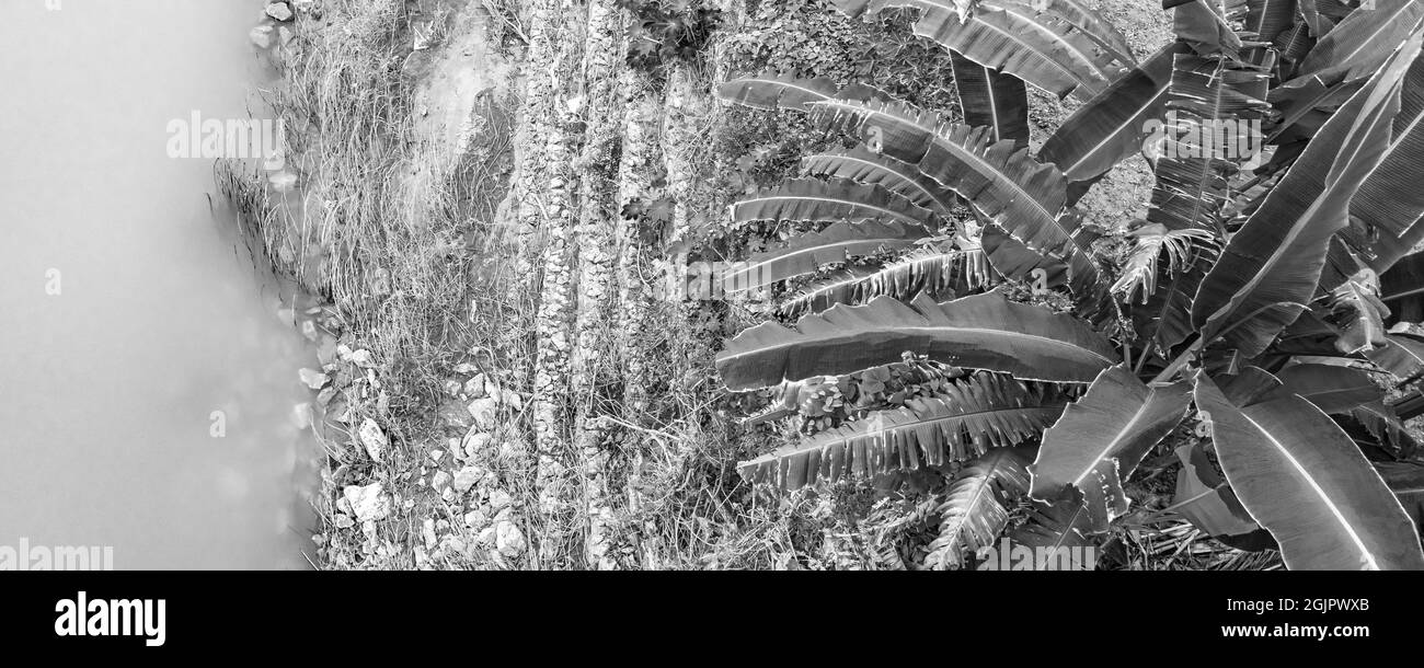 Clay loam soil Black and White Stock Photos & Images - Alamy