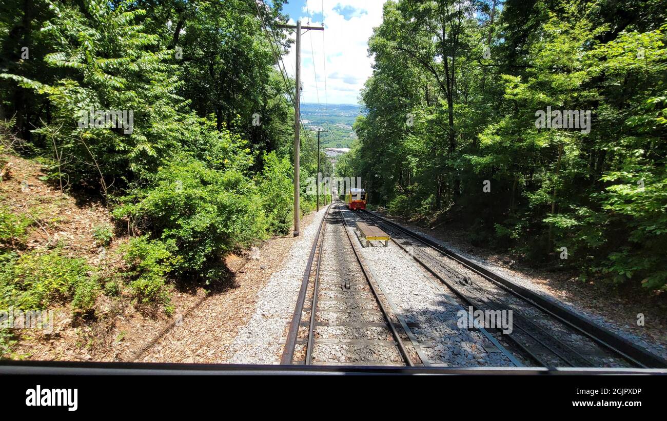 Train going through the forest on a sunny day Stock Photo