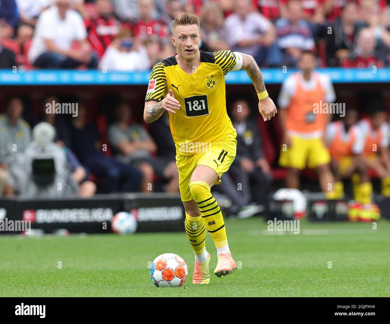 Page 3 - Bayer 04 Leverkusen Bvb High Resolution Stock Photography and  Images - Alamy