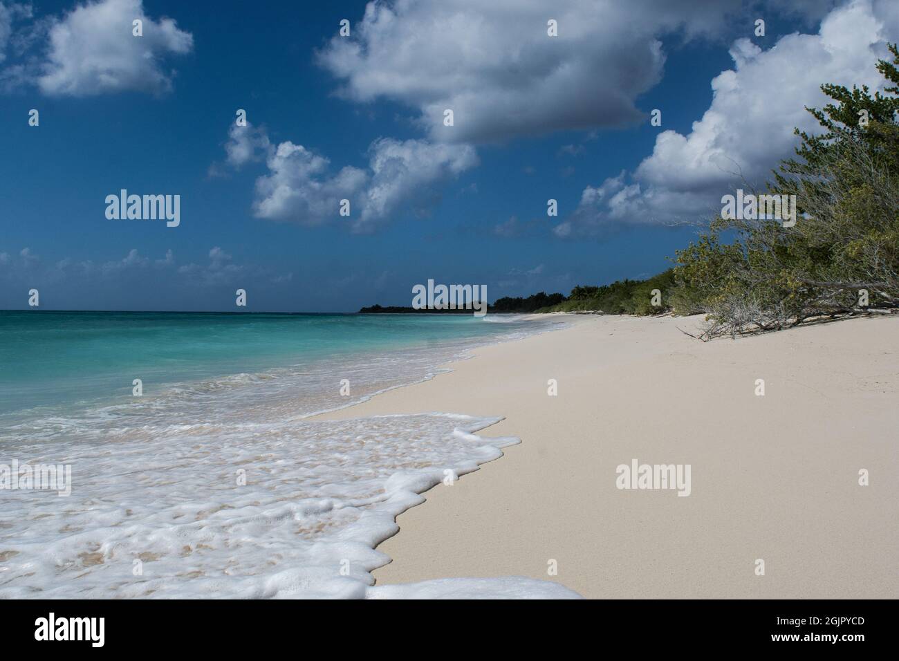 beach in mexico cozumel Stock Photo Alamy