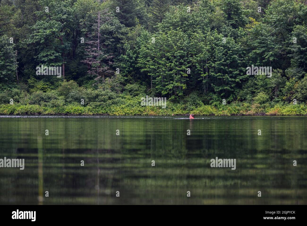 swimming in the rain Stock Photo Alamy