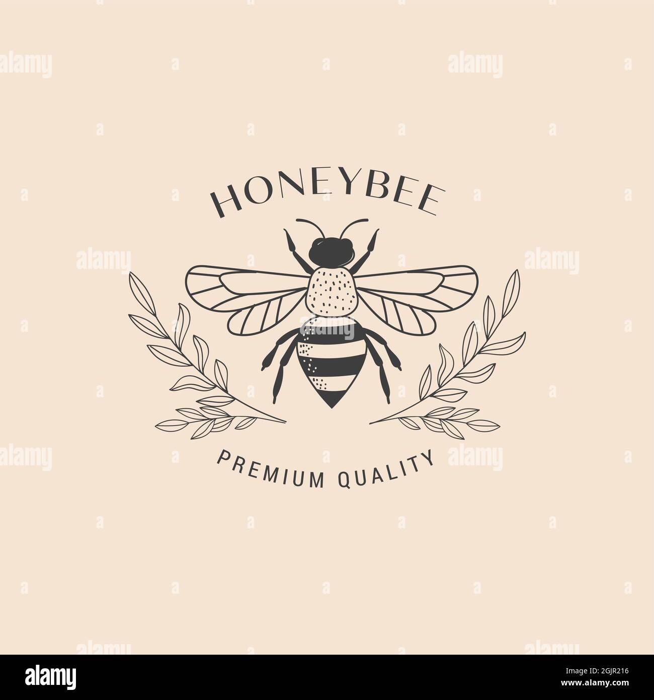 Collection of hand drawn bee, organic honey, logo, emblem, label and packaging design Stock Vector