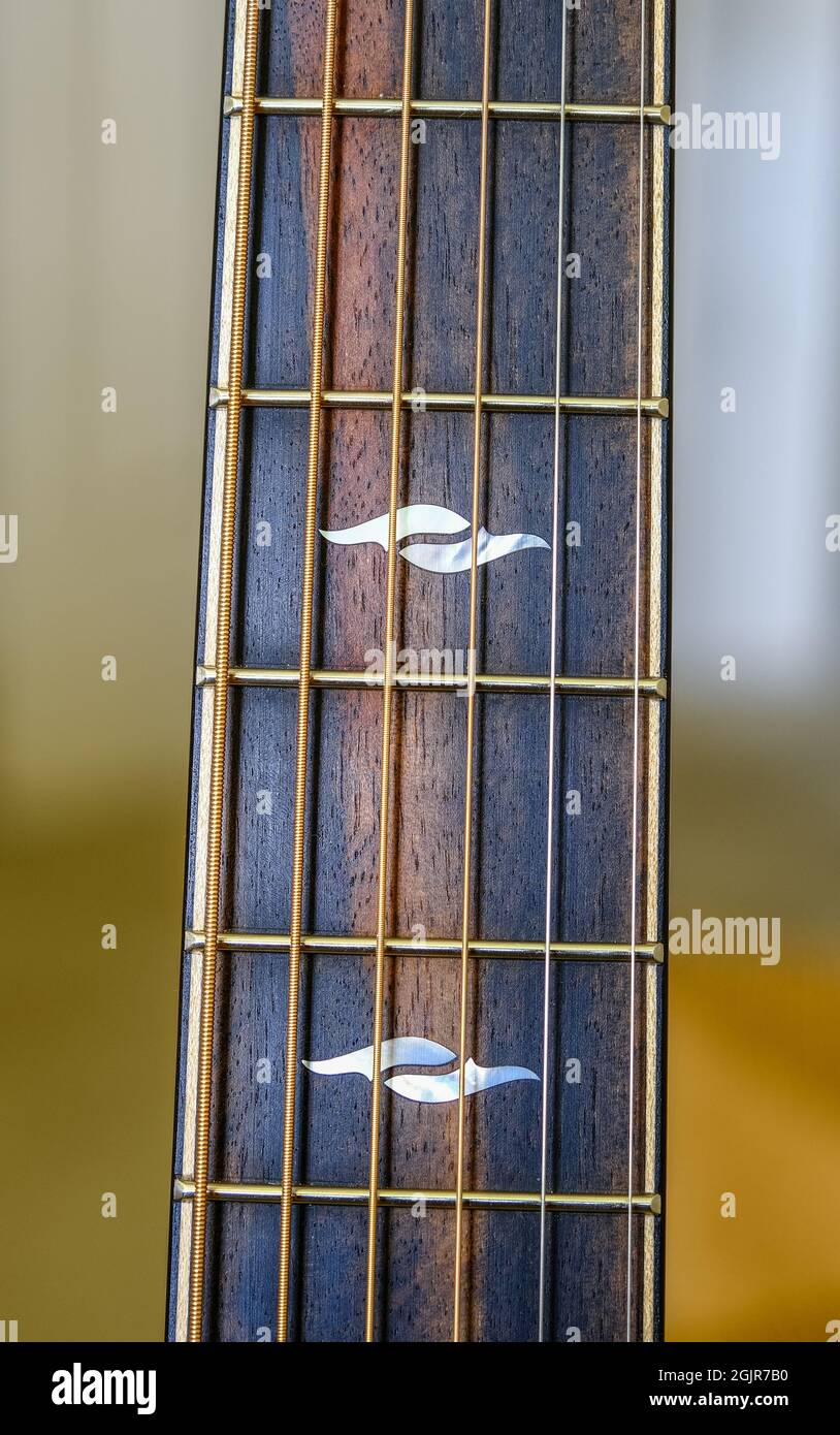 Ebony Neck on Guitar Stock Photo