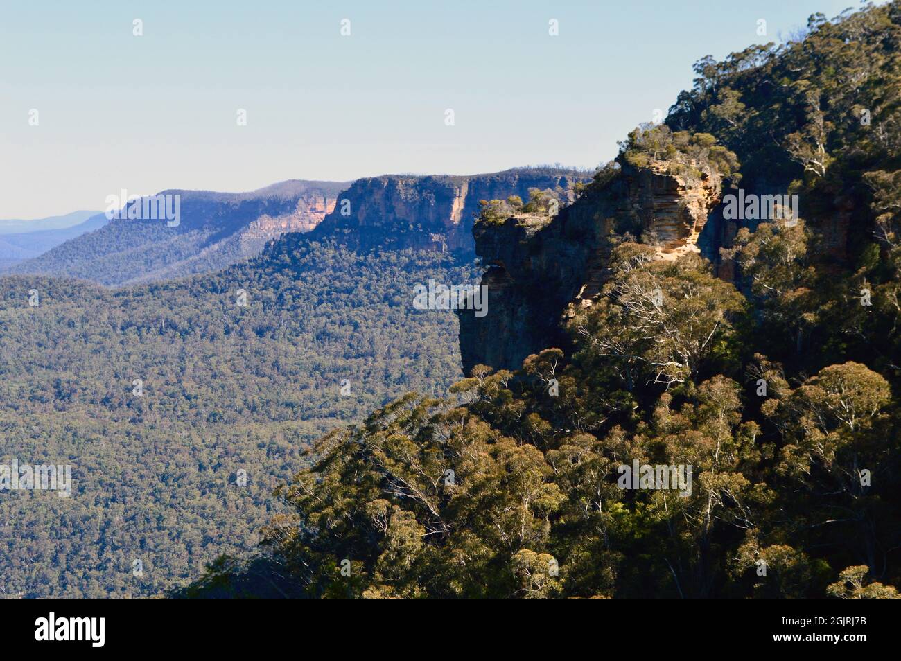 A view into the Jamison Valley from the Prince Henry Cliff Walk Stock Photo