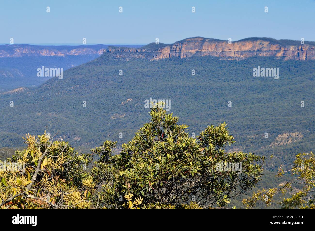 A view into the Jamison Valley from the Prince Henry Cliff Walk Stock Photo